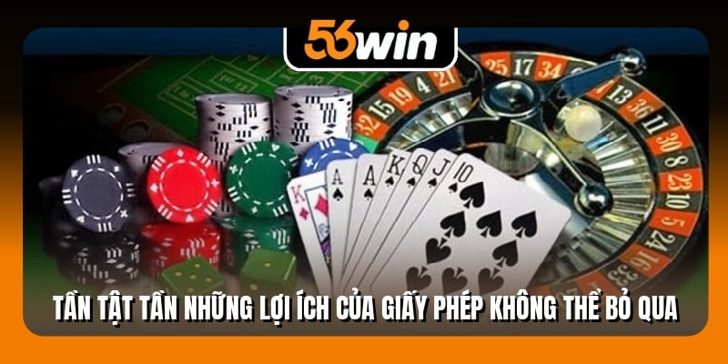 Tần tật tần những lợi ích của giấy phép không thể bỏ qua